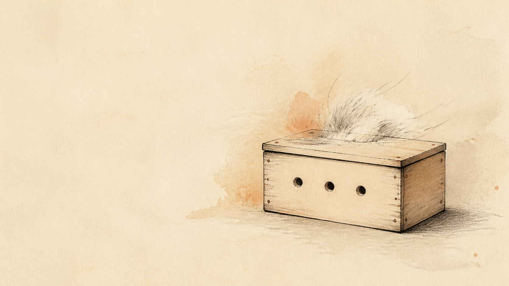 A wooden crate with breathing holes and a tuft of wool poking out.